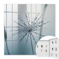 SCHLÜSSELBOX Weiß 30x30 cm – Türöffnung nach rechts - Löwenzahn und Wassertropfen - Grau, Metall (30/30/5cm) - TULUP