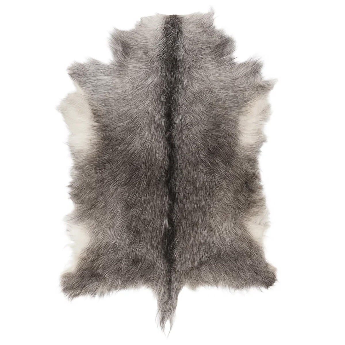 FELL Zickelfell Naturgrau ca. 30/40 cm, 50 Stück - Naturfarben/Grau, Fell (30/40cm) - Provellus