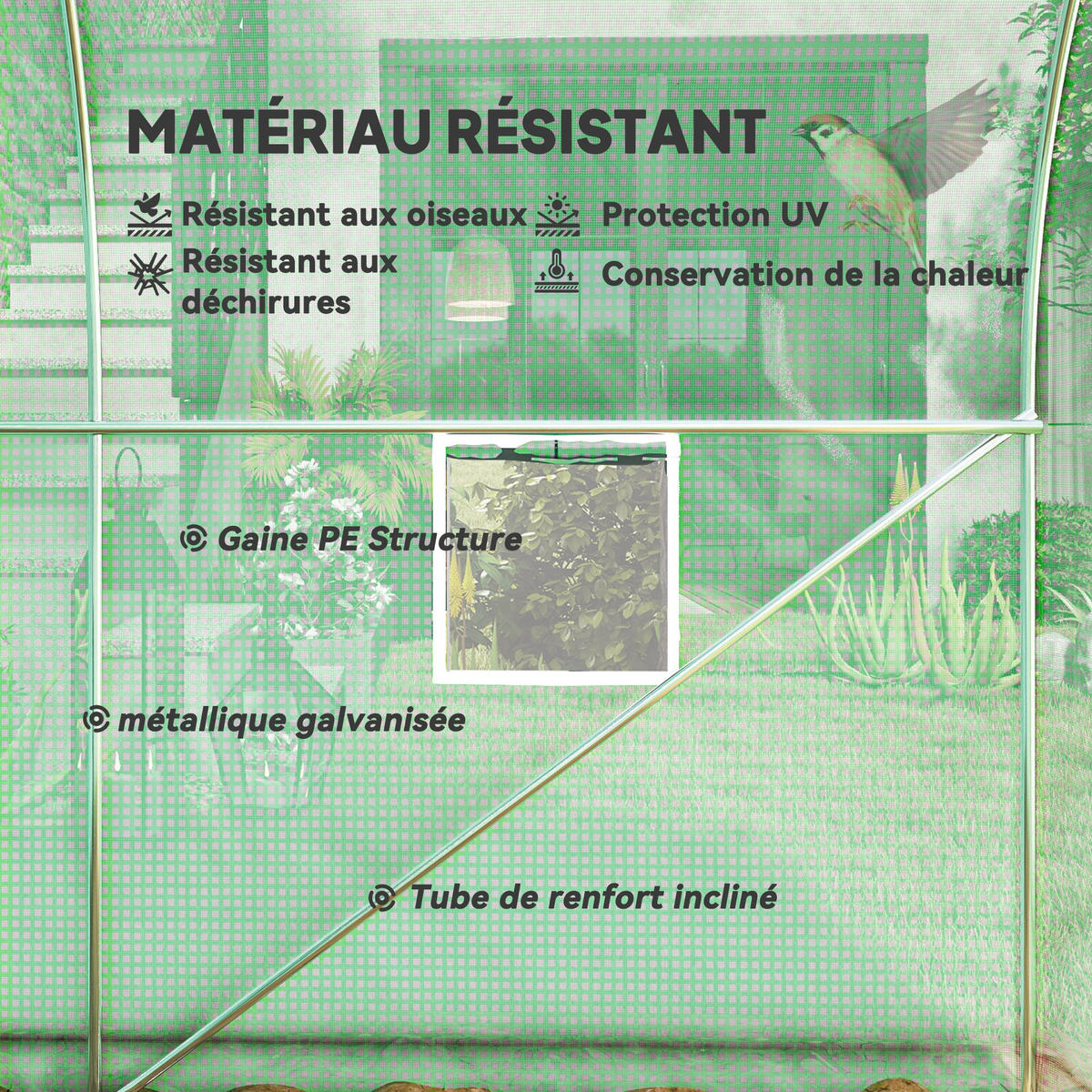 GEWÄCHSHAUS DE-12037 mit Tür & 6 Fenstern Grün - Grün, Kunststoff (200/200/400cm) - ComfortXL