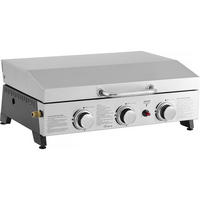 PLANCHA fasto Grau - Grau, Metall (48/25/67cm) - Habitat Garten