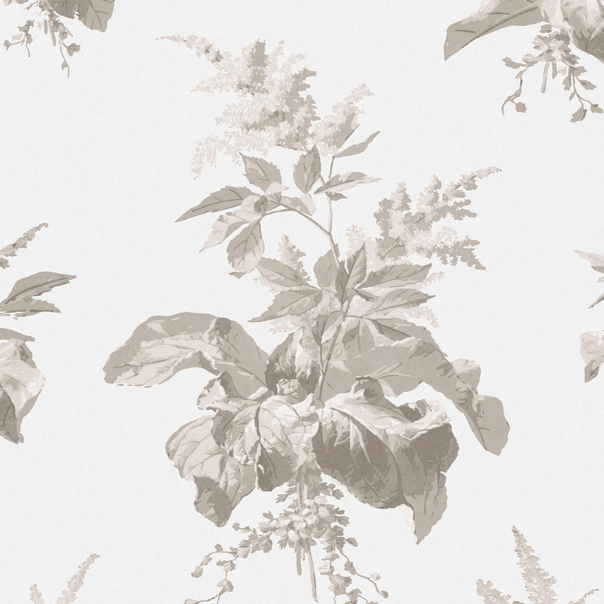 VLIESTAPETE Narberth Taubengrau | Beige Grau | Blumen | 10mx52cm - Grau, Papier/Kunststoff (52/1000cm) - Graham & Brown