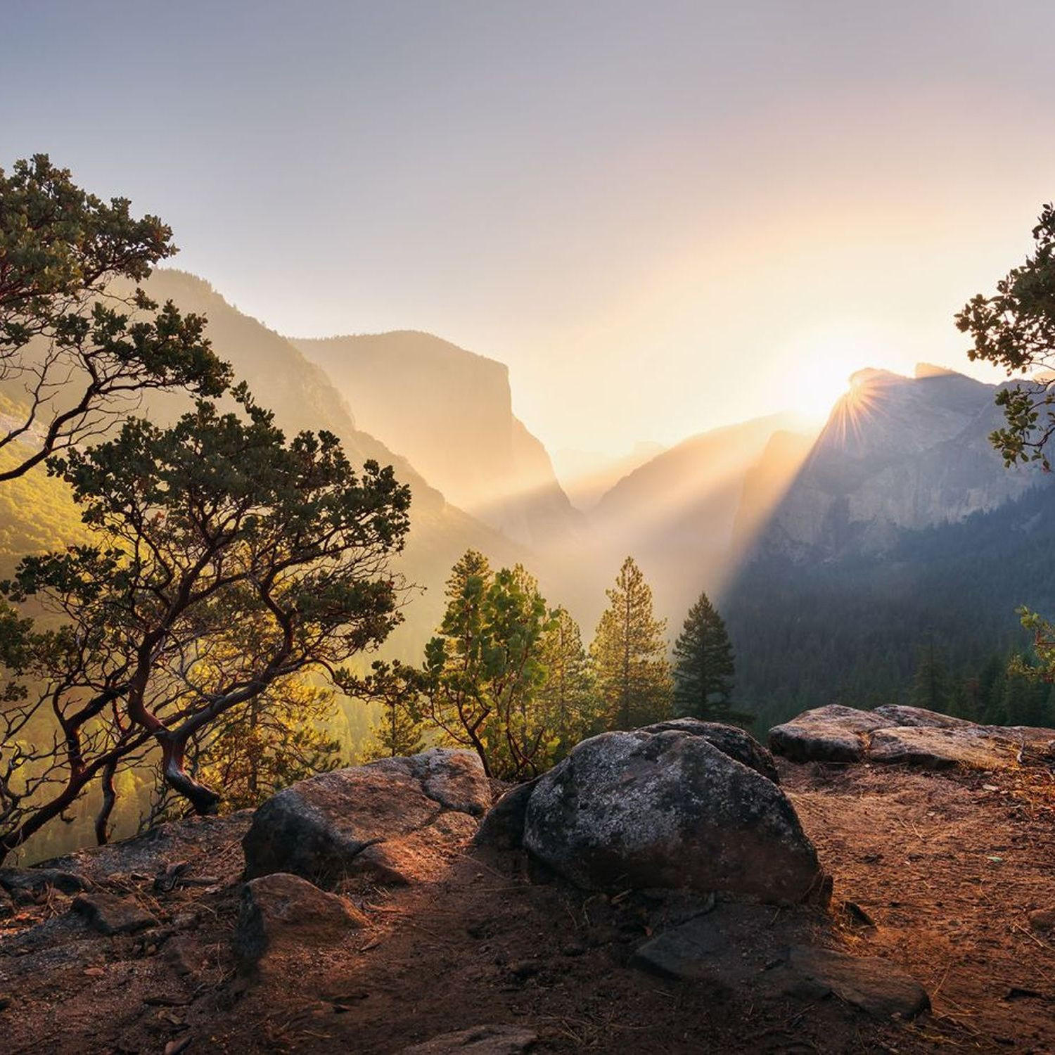 FOTOTAPETE Landschaft 450 x 280 cm - Multicolor, Papier (450/280cm) - Sanders & Sanders