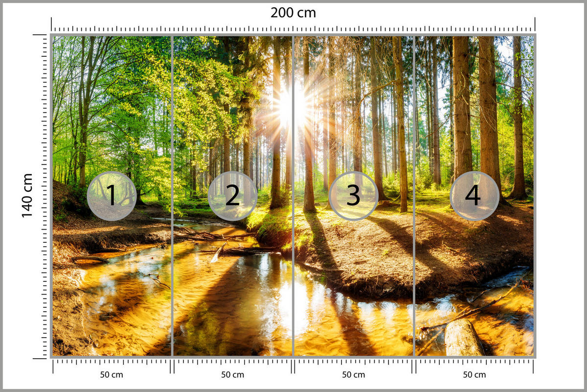FOTOTAPETE für Wohnzimmer Pflanzen Natur Gras Sonniger Wald Bäume 200x140 - Multicolor, Papier (200/140cm) - Muralo