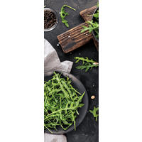 GLASBILD 30x80 cm Küche modern grün - Grau/Grün, Glas (30/80cm) - artissimo