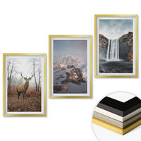 WANDBILDER 3er Set - 40x60 cm Goldrahmen - Wilde Berglandschaften - Goldfarben, Kunststoff (40/60cm) - ArtPrintCave