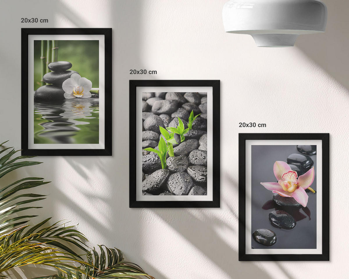 WANDBILDER 3er-Set - 20x30 cm Schwarzer Rahmen - Eine ruhige Zen-Komposition aus Blumen und Wasser - Schwarz, Kunststoff (20/30cm) - ArtPrintCave