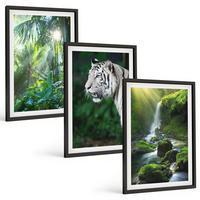 BILDER SET 3er Set - 40x60 cm Schwarzer Rahmen - Dschungeltigerwasserfall - Schwarz, Kunststoff (40/60cm) - TULUP