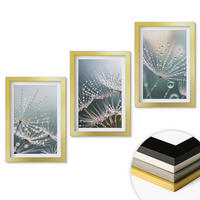 WANDBILDER 3er Set - 20x30 cm Goldrahmen - Wassertropfen auf Löwenzahnsprossen - Goldfarben, Kunststoff (20/30cm) - ArtPrintCave