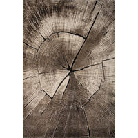 TEPPICH Kurzflor OGLIO Abstrakt Polypropylen-Polyester Natur 160 x 230 cm - Beige, Textil (160/230cm) - KADIMA DESIGN