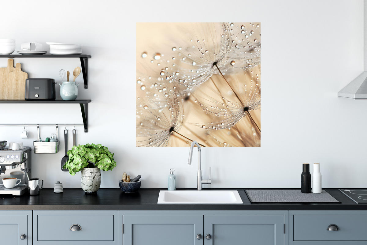 WANDTATTOO Löwenzahn - Abstrakt - Natur - Beige 50x50 cm - Braun, Kunststoff (50/50/0.1cm) - MuchoWow