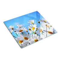 GLASPLATTE 60x52 cm Gänseblümchen - Weiß, Glas (60/0.4/52cm) - TULUP
