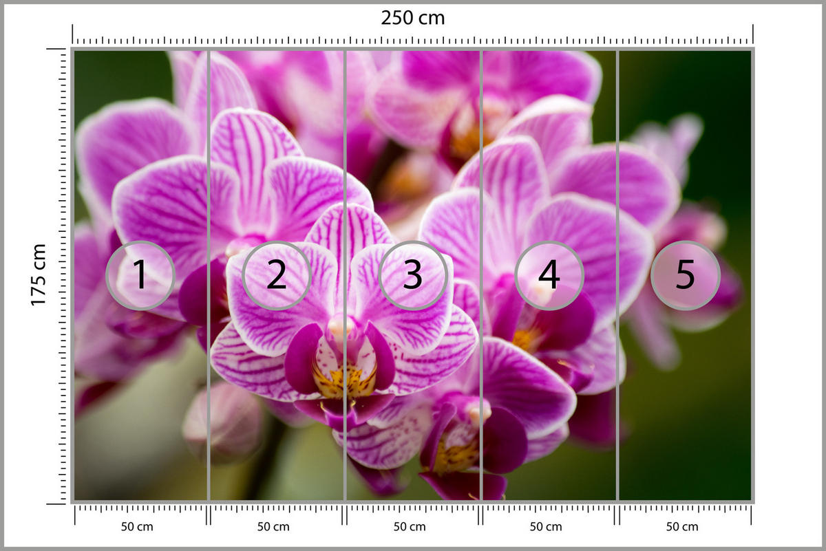 FOTOTAPETE für Wohnzimmer Violetter Orchideenstrauß Blumen 250x175 - Violett/Rosa, Papier (250/175cm) - Muralo