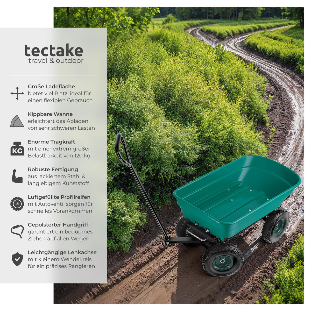 GARTENWAGEN Cubbi, Belastbarkeit 120 kg, grün - Grün, Metall (47.5/46/100cm) - tectake