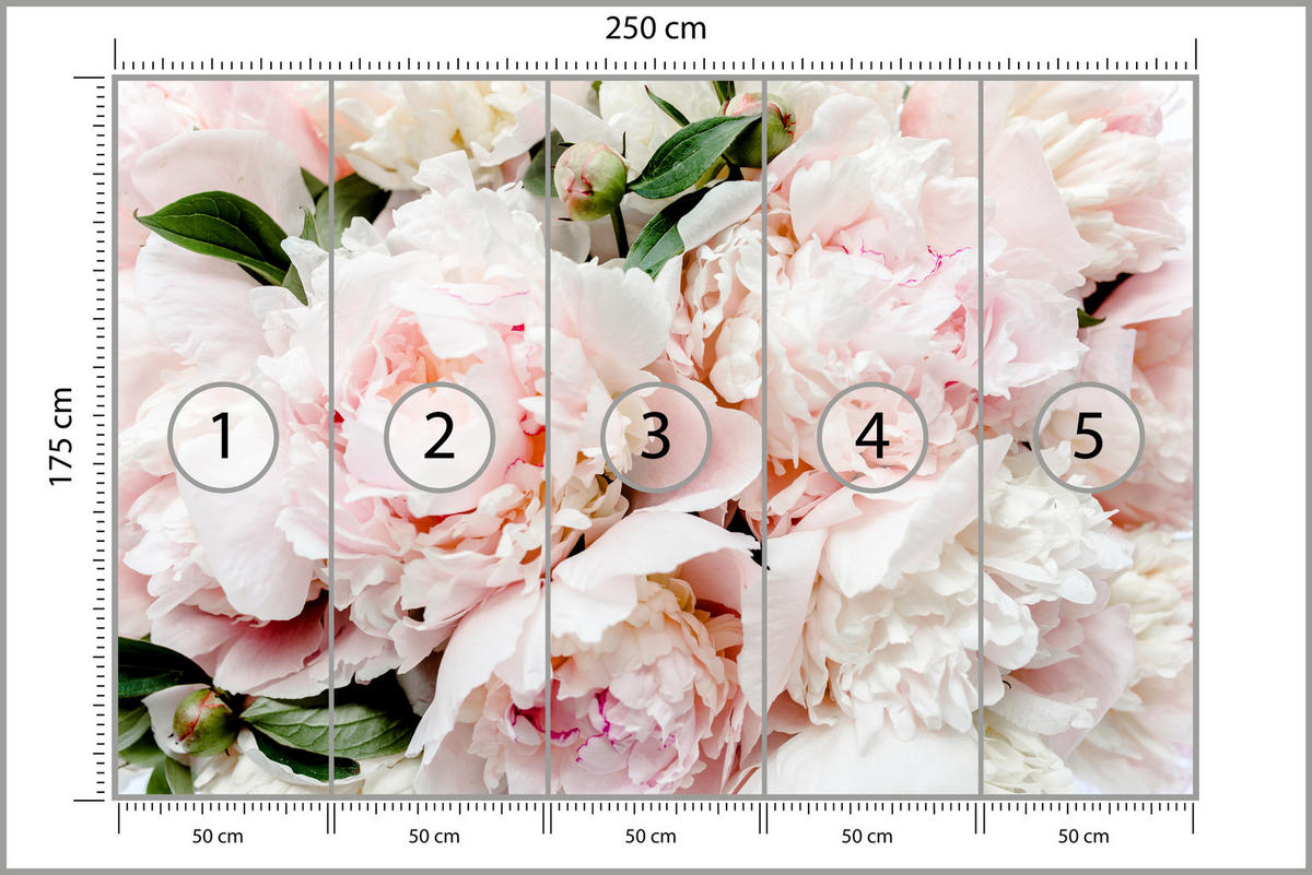 FOTOTAPETE für Schlafzimmer Rosa Zarte Pfingstrosen Natur 250x175 - Rosa/Weiß, Papier (250/175cm) - Muralo