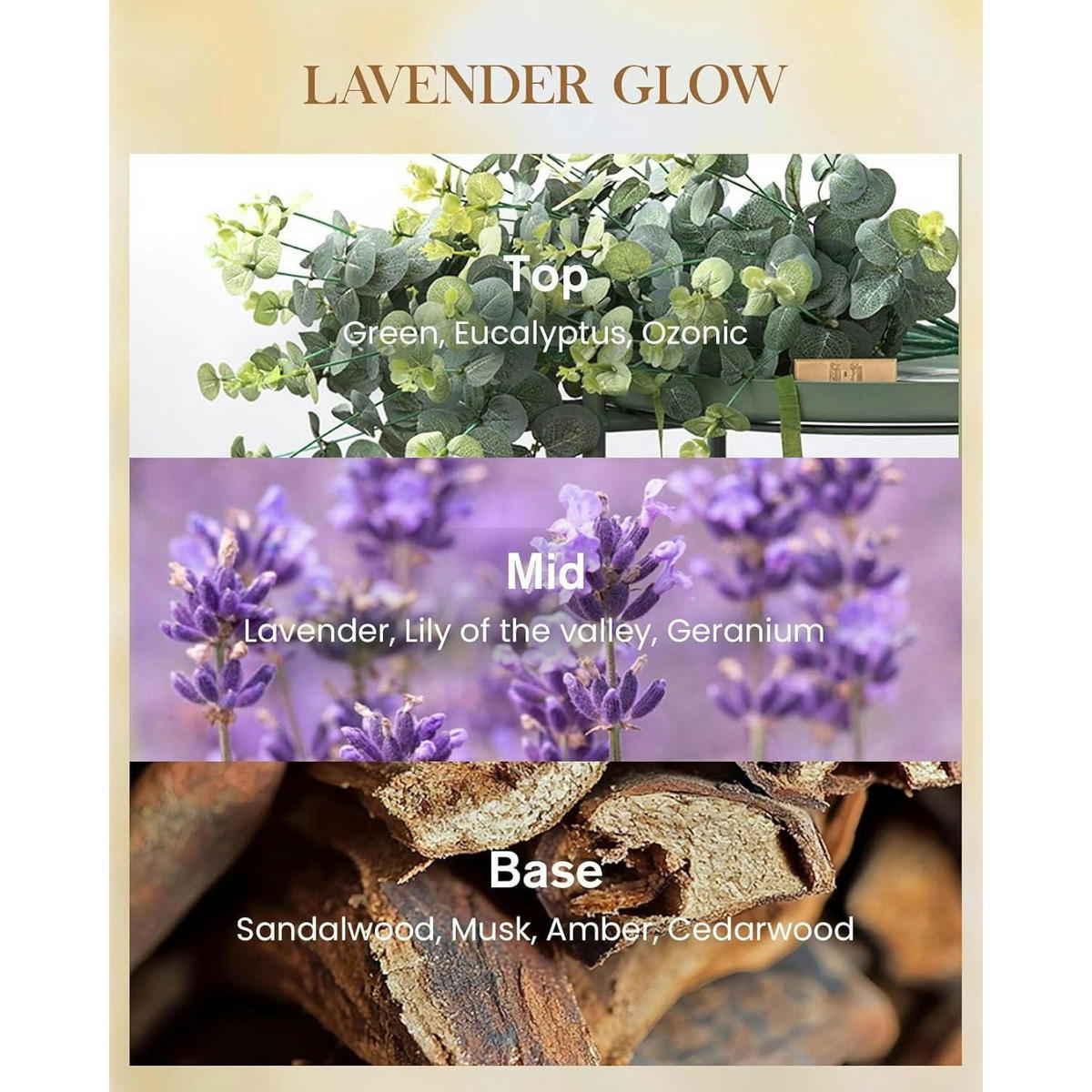 DUFTKERZE Lavendel 400 g Sojawachskerze 75 Std. Brenndauer - Multicolor, Paraffin (12cm)