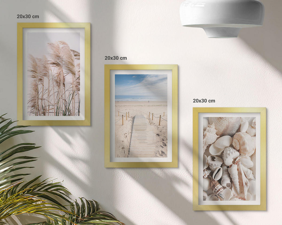 BILDER SET 3er Set - 20x30 cm Goldrahmen - Strandmuscheln Seegras - Goldfarben, Kunststoff (20/30cm) - TULUP