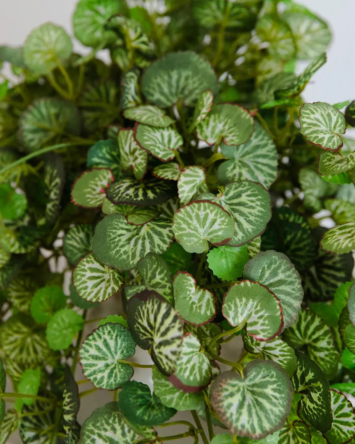 KUNSTPFLANZE Künstliche Steinbrech - Emanuel 50cm - Grün, Kunststoff (50cm) - aplanta