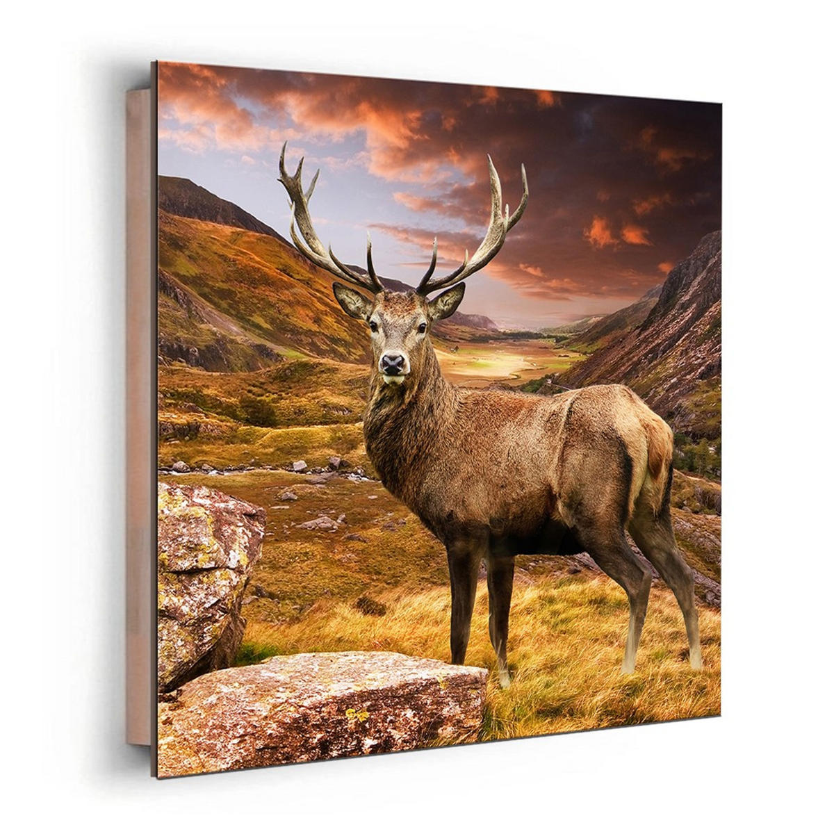 BILD 30x30 cm Hirsch Berge - Beige, Holzwerkstoff (30/30/2cm) - artissimo