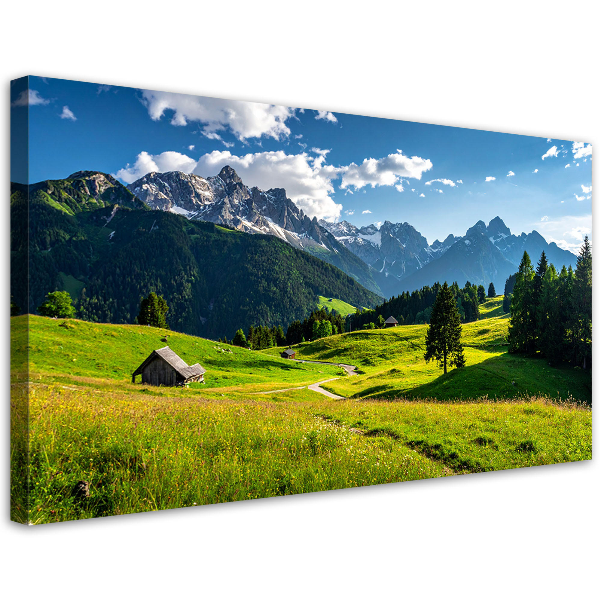 LEINWANDBILD Landschaften 100x50cm - Grün, Textil (100/50cm) - Feeby