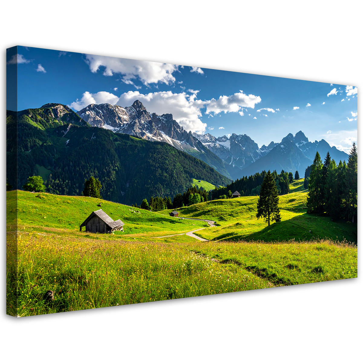 LEINWANDBILD Landschaften 100x50cm - Grün, Textil (100/50cm) - Feeby