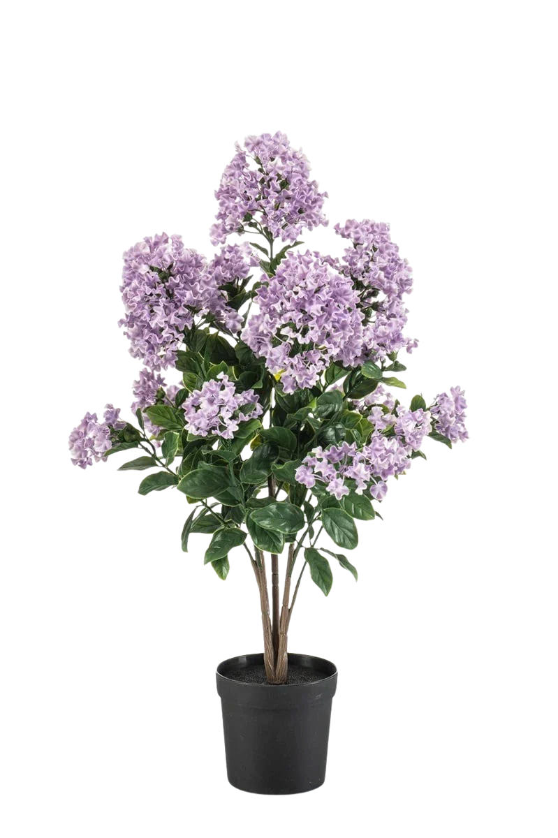 KUNSTBAUM Künstlicher Flieder - Pina 65 cm - Lila, Kunststoff (65cm) - Emerald