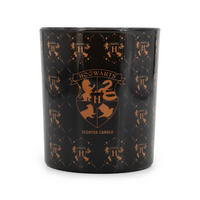 DUFTKERZE Harry Potter™ - Schwarz, Naturmaterialien/Glas (8.3cm)