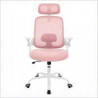 BÜROSTUHL Rosa 63.5/47/117.5 cm - Pink, Metall (63.5/117.5/47cm) - PANGIVO