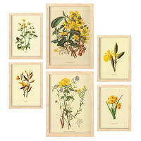 POSTER Set Mit 6 Gelbe Blumen 2 In Vintage A3 & A4 Rahmen Aus Hellem Holz - Beige, Papier (29/3cm) - Nacnic