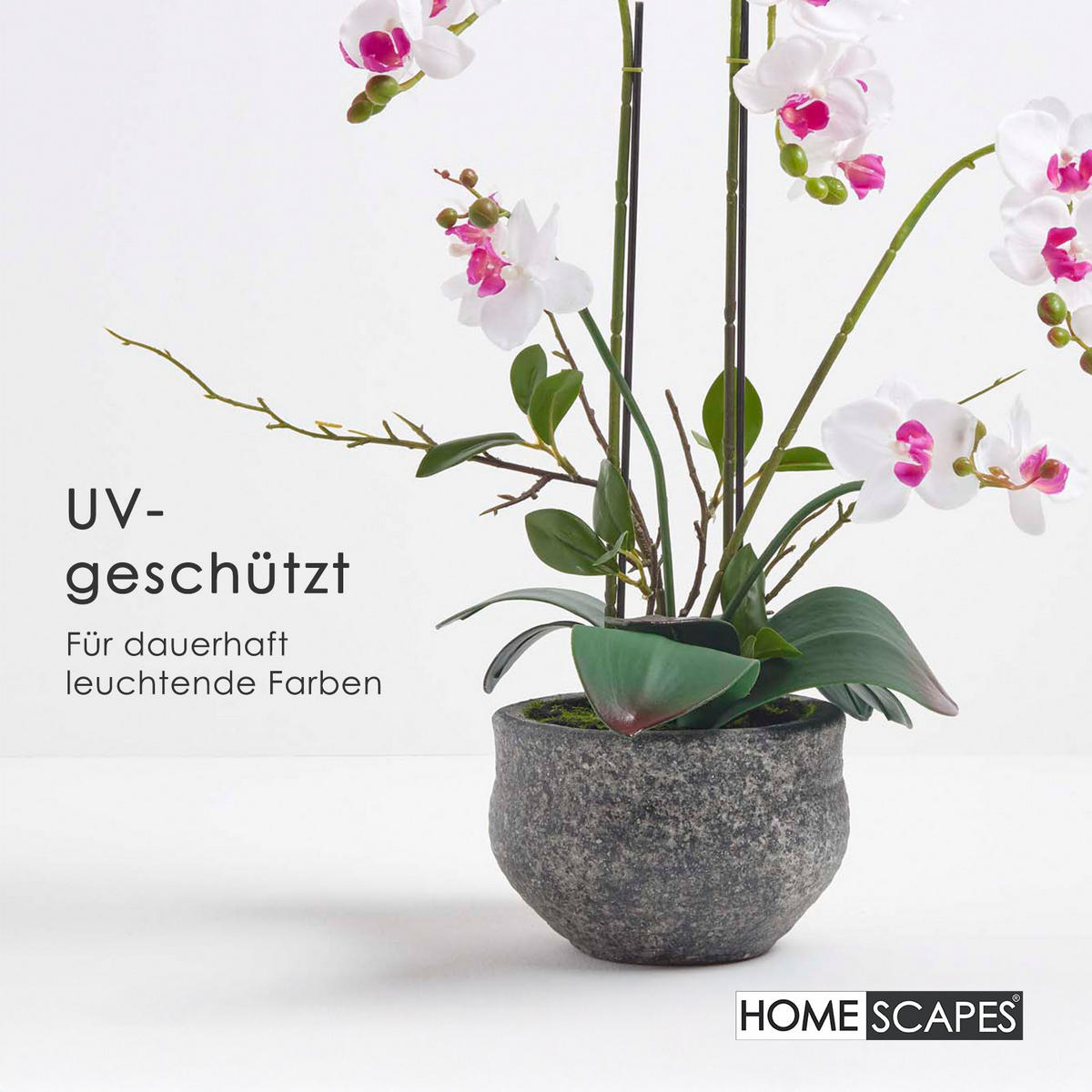 KUNSTBLUME Orchidee weiß-pink im Deko-Topf, 52 cm - Weiß, Kunststoff (52cm) - Homescapes