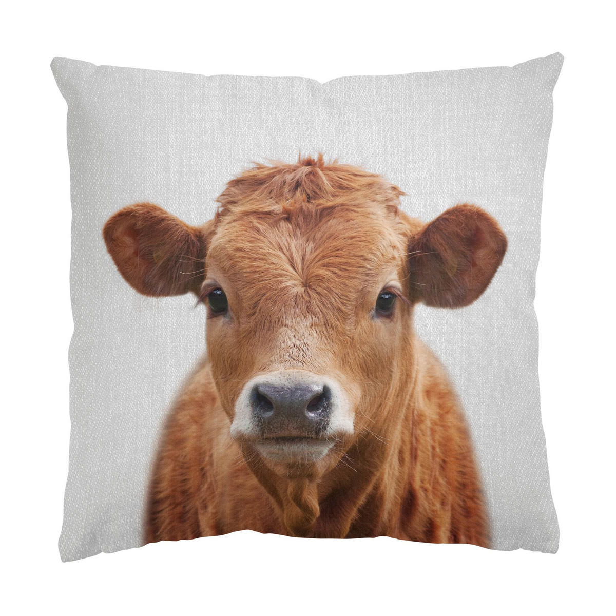 DEKOKISSEN 2er-Set Hochlandrind Kuh Duo 50/50 cm - Braun, Textil (50/50cm) - Bilderwelten