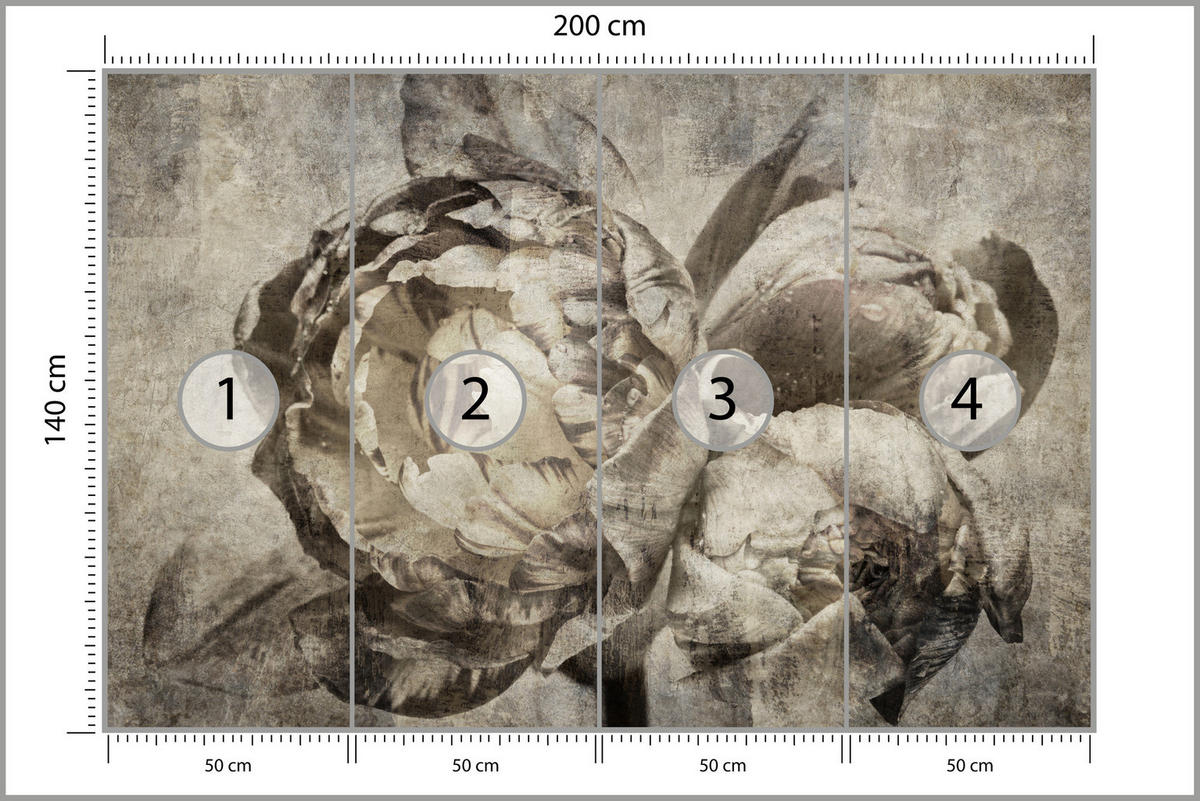 FOTOTAPETE Pfingstrosen Blumen Beton Vintage 200x140 - Beige/Braun, Papier (200/140cm) - Muralo