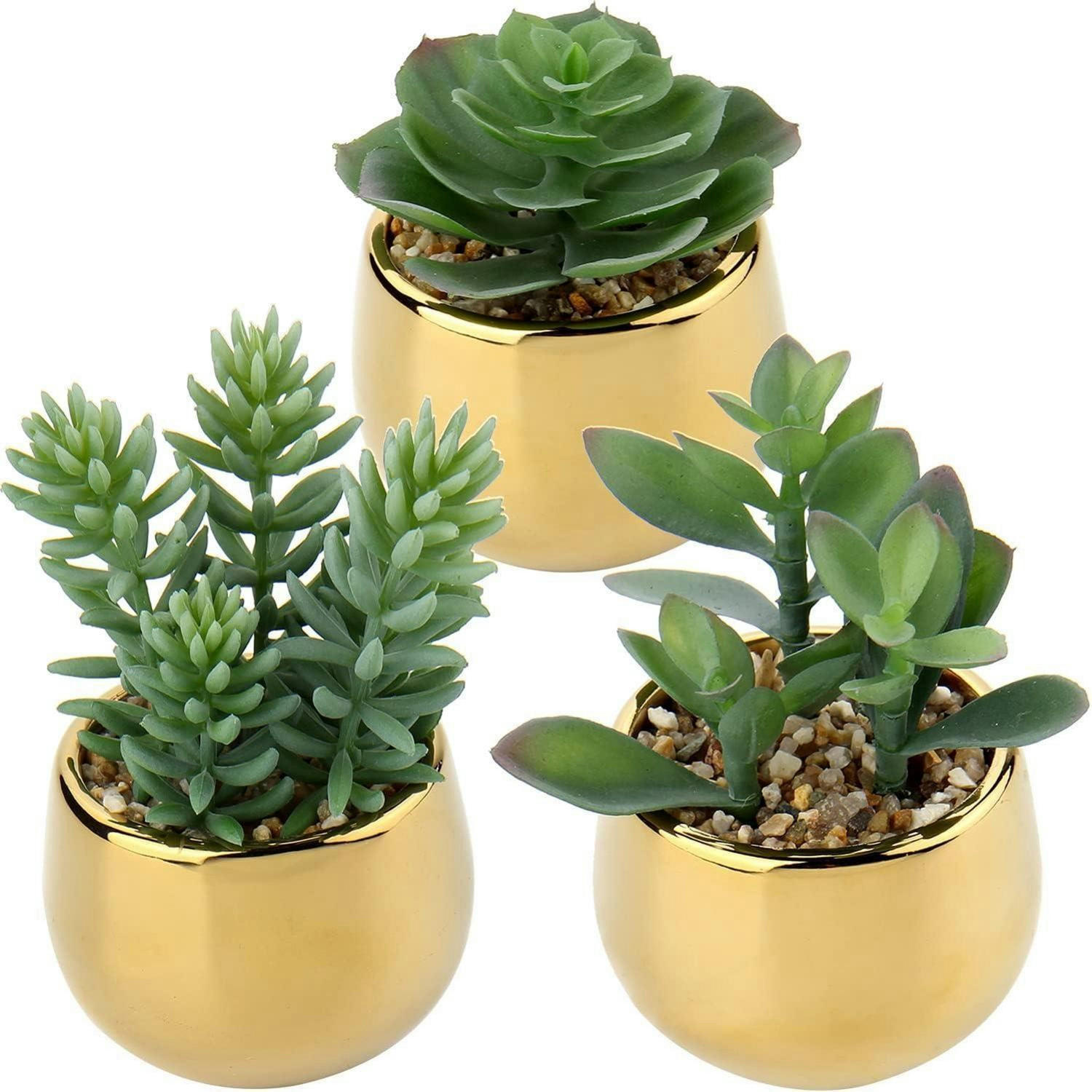 KUNSTPFLANZEN-SET 3-teilig Sukkulenten im Keramiktopf Gold - Goldfarben, Keramik (12.4cm)
