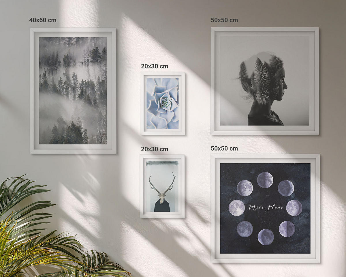 WANDBILDER 5er-Set - 50x50 cm & 20x30 cm & 40x60 cm Weißer Rahmen - Waldnebel, Mond, Schädel, Frau - Weiß, Kunststoff (40/60cm) - ArtPrintCave