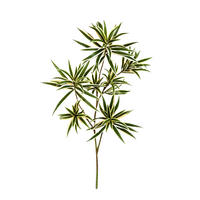 DRACHENBAUM Künstlicher Drachenbaum-Zweig - Günther - Grün, Kunststoff (1cm) - aplanta