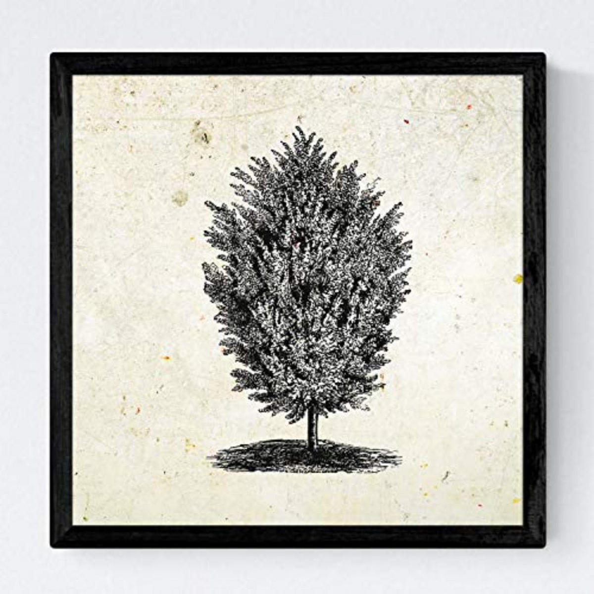 POSTER Set mit 4 Blättern der Bäume Sehr fondosos Jahrgang Hintergrund 20x20cm Rahmenlos - Klar, Papier (20/3cm) - Nacnic