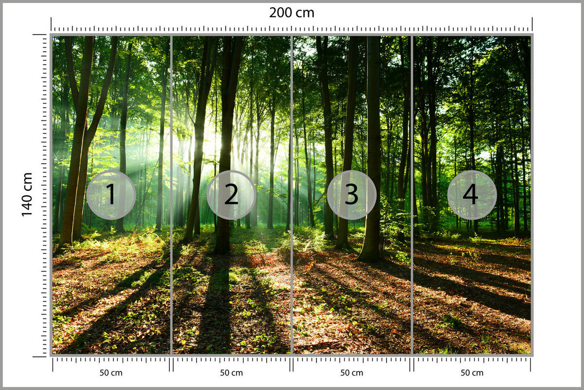 FOTOTAPETA Pre Obývaciu Izbu Slnečné Lúče Les Stromy Listy 200 x 140 cm - hnedá/sivá, papier (200/140cm) - Muralo