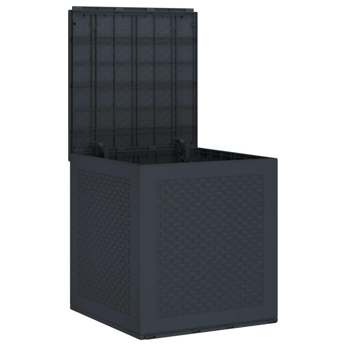 AUFBEWAHRUNGSBOX Anthrazit 55/53/57 Cm Polypropylen - Anthrazit, Kunststoff (53/57/55cm) - vidaXL