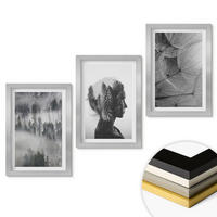 WANDBILDER 3er Set - 20x30 cm Silberner Rahmen - Waldnebelporträt Baum Löwenzahn - Silberfarben, Kunststoff (20/30cm) - ArtPrintCave