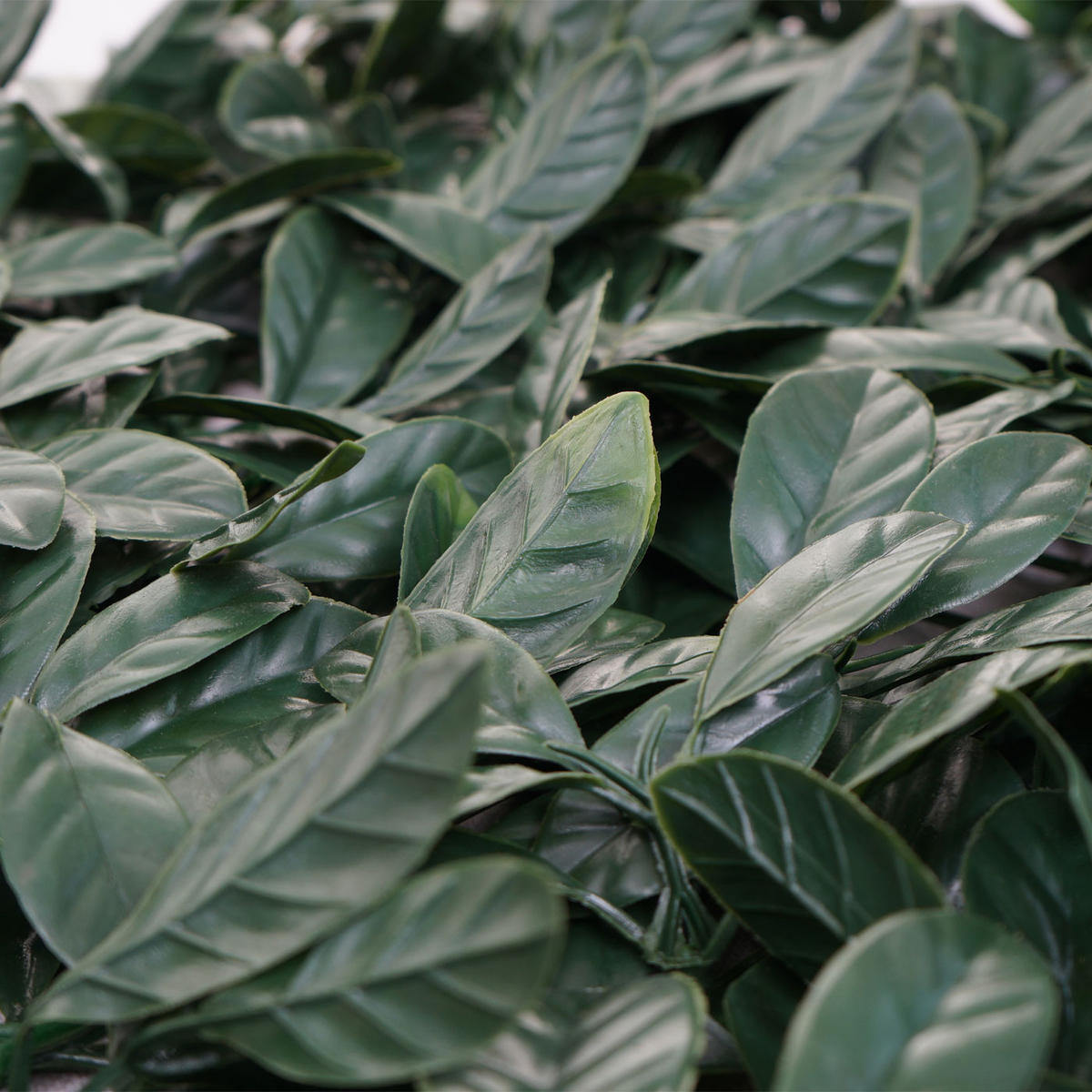 OBKLADOVÁ DLAŽBA Tmavě zelená - tmavě zelená, plast (47/4cm) - MCW