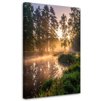 BILDER, See Wald im Nebel Landschaft - Grün, Textil (70/100cm) - Feeby