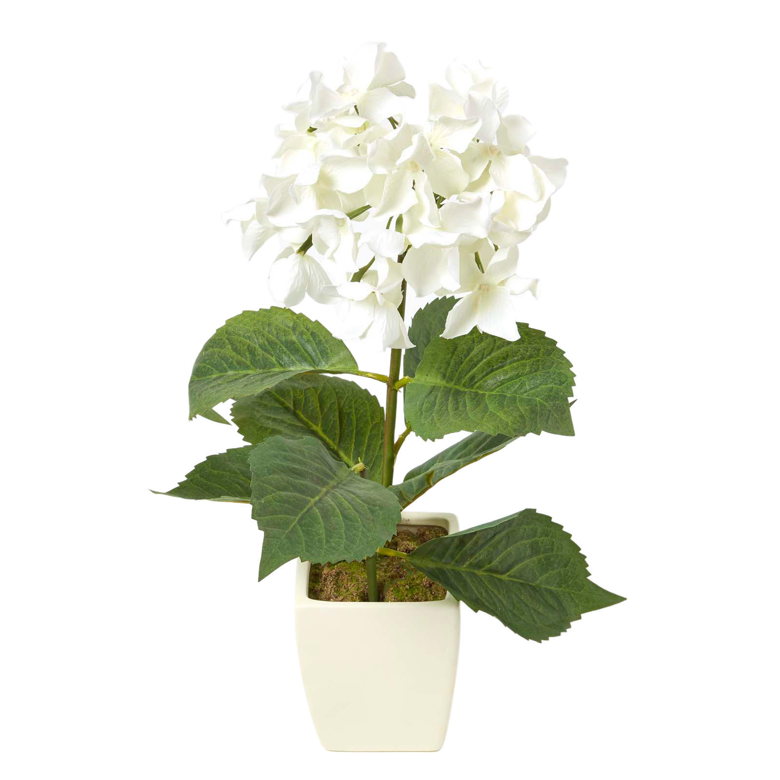 KUNSTBLUME Hortensien creme im Deko-Topf, 38 cm - Creme, Kunststoff (38cm) - Homescapes