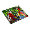 GLASPLATTE 60x52 cm Aras Papageien - Multicolor, Glas (60/52cm) - TULUP