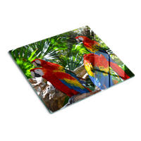 GLASPLATTE 60x52 cm Aras Papageien - Multicolor, Glas (60/52cm) - TULUP