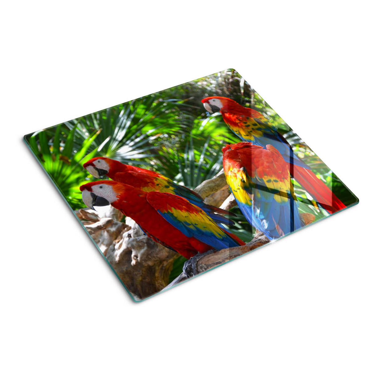GLASPLATTE 60x52 cm Aras Papageien - Multicolor, Glas (60/52cm) - TULUP