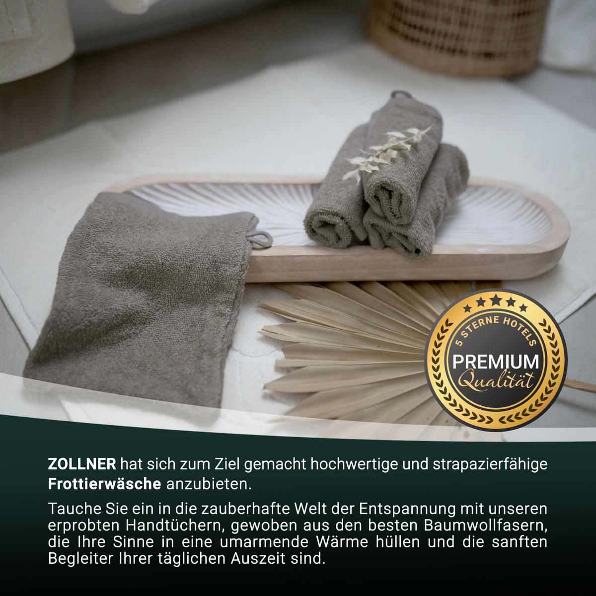 WASCHHANDSCHUH, 10er-Set, 16x21 cm, 100% Baumwolle, Braun - Fango, Textil (16/21cm) - Zollner