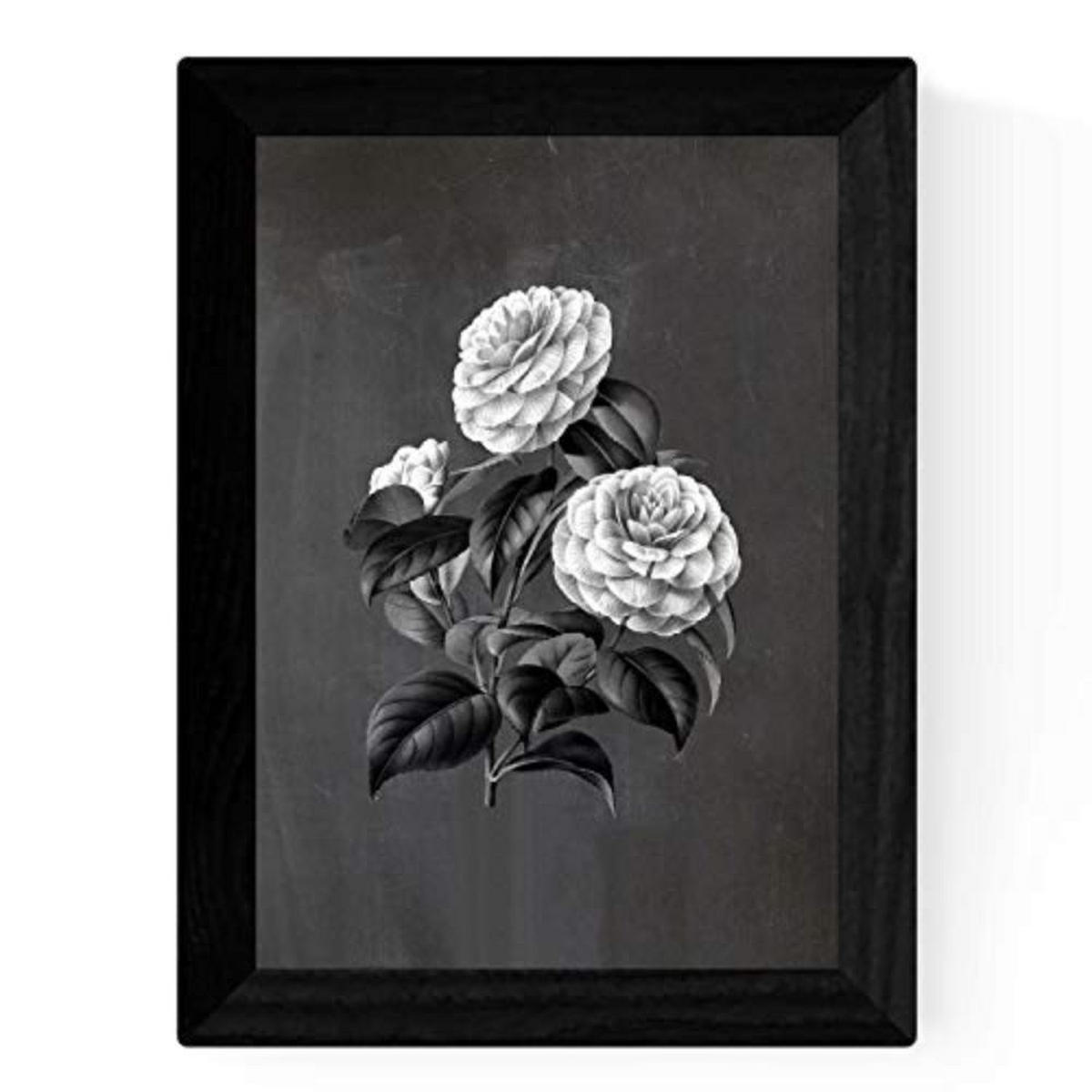 POSTER Set mit 4 Botanische Schwarz Hintergrund Rosa Blumen A3 Rahmenlos - Klar, Papier (29.7/3cm) - Nacnic