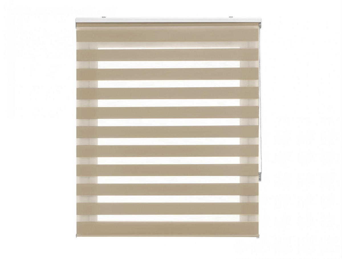 ROLLO Polyester Transluzent Braun 120x250 - Braun, Textil (120/250/1cm) - Purline