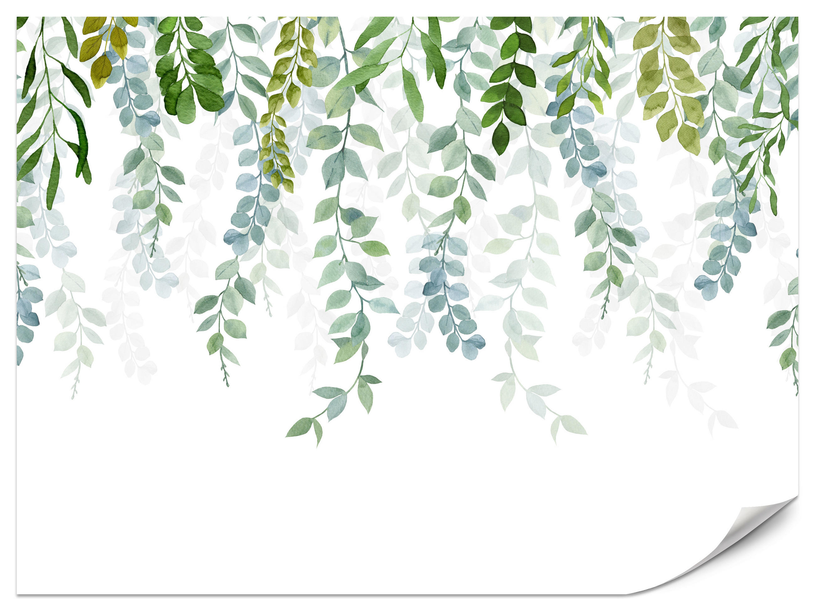 FOTOTAPETE für Schlafzimmer Zarte Ranken Blätter Kletterpflanzen Natur 150x105 - Weiß/Grün, Papier (150/105cm) - Muralo