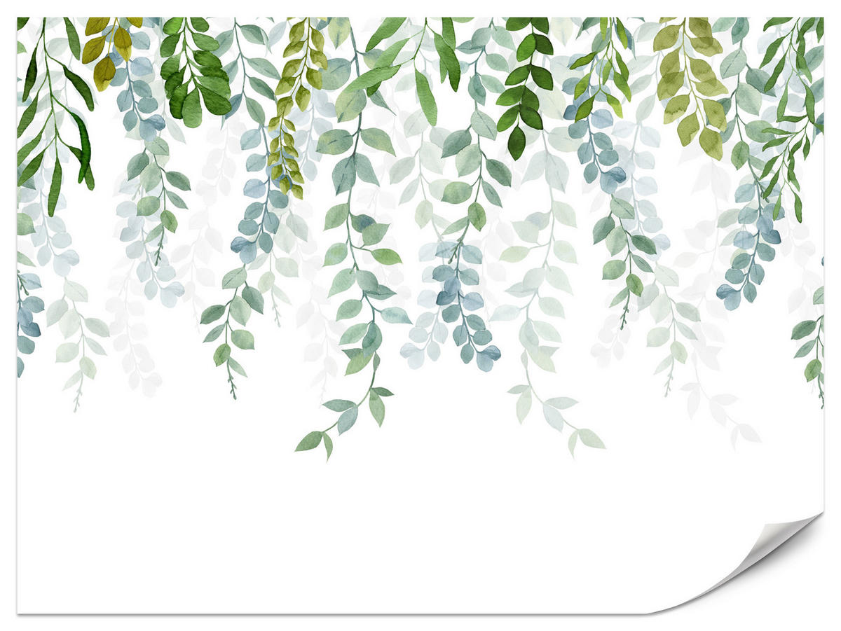 FOTOTAPETE für Schlafzimmer Zarte Ranken Blätter Kletterpflanzen Natur 150x105 - Weiß/Grün, Papier (150/105cm) - Muralo