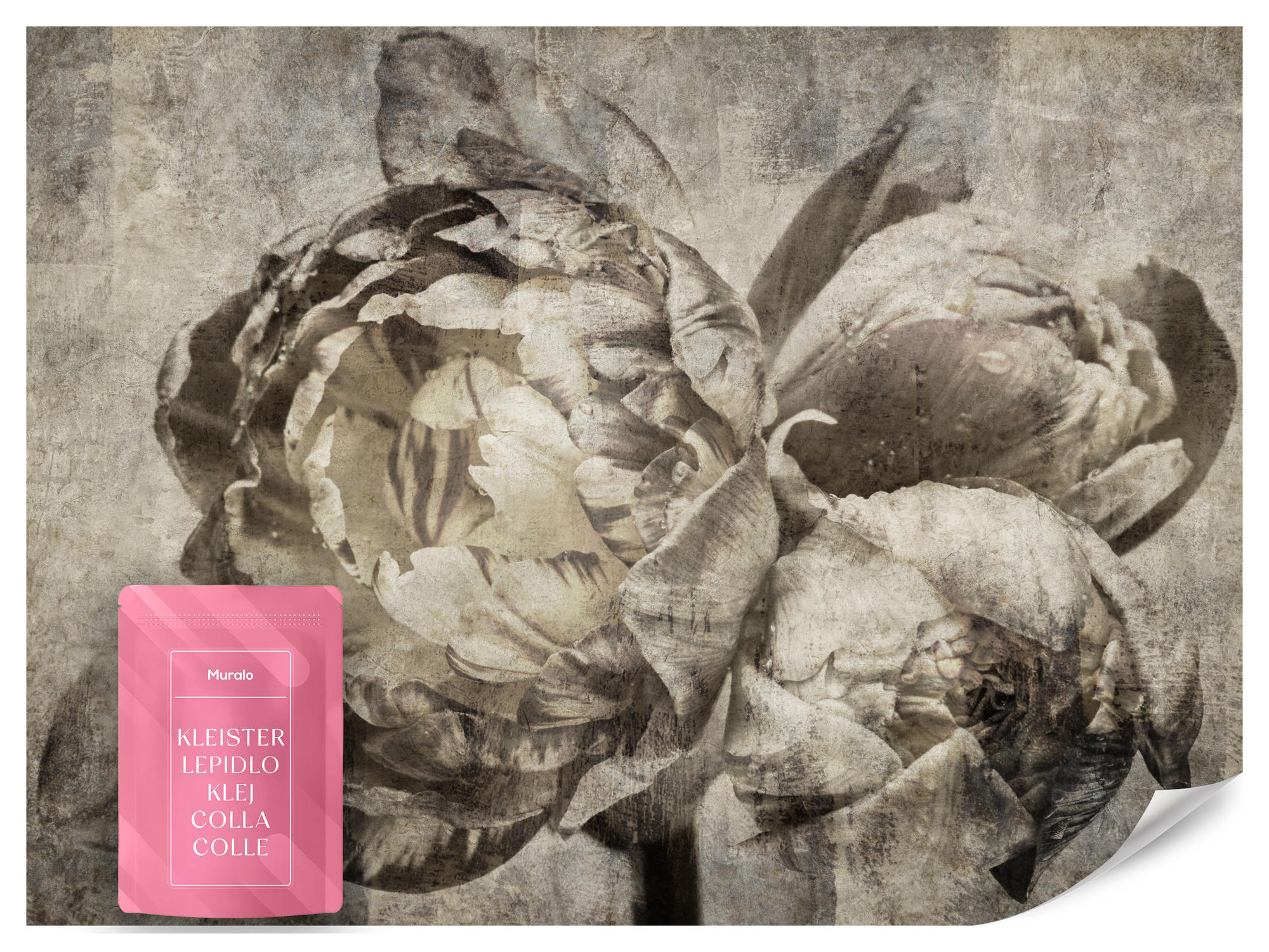 FOTOTAPETE Pfingstrosen Blumen Beton Vintage 250x175 - Beige/Braun, Papier (250/175cm) - Muralo